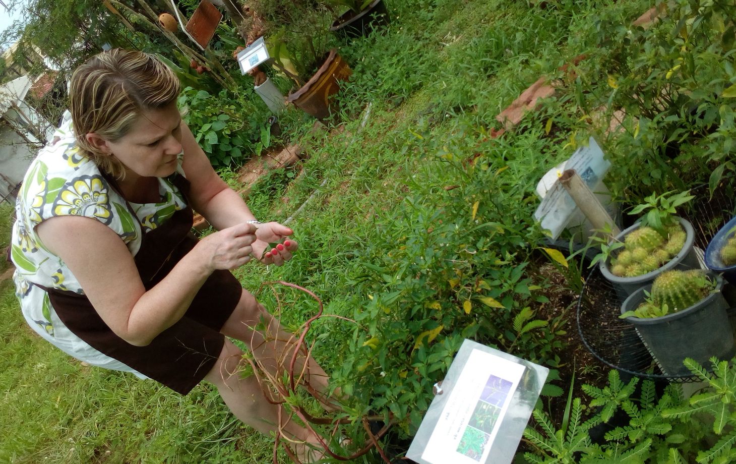Thai Cooking Class with Organic Herb Garden Tour or Market Tour